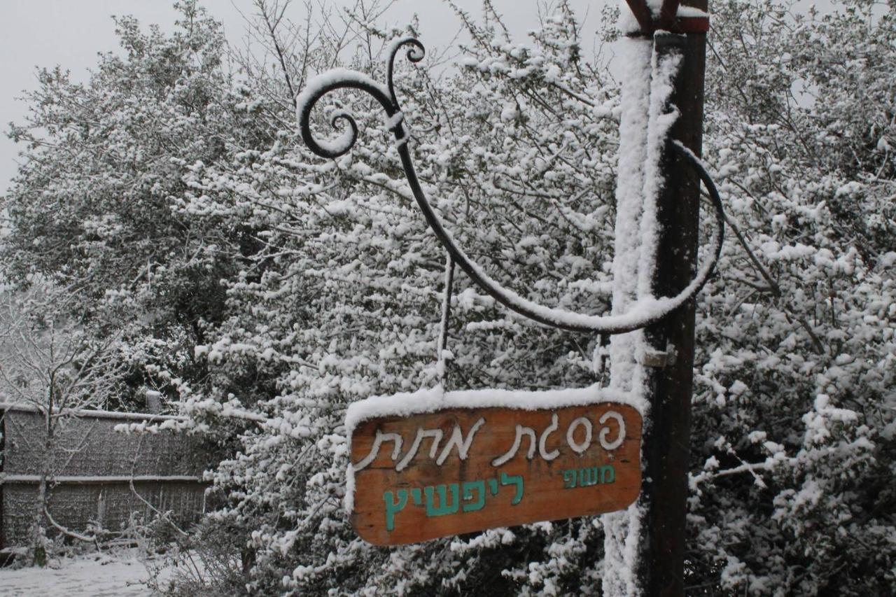 פסגת מתת Pisgat Mattat 빌라 외부 사진