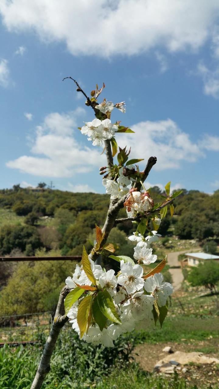פסגת מתת Pisgat Mattat 빌라 외부 사진